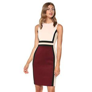 Calvin Klein Colorblock Dress in Blush/Rose Size 2